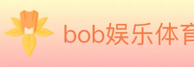 bob娱乐体育 logo